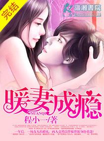 暖妻成瘾韩禛完结了吗